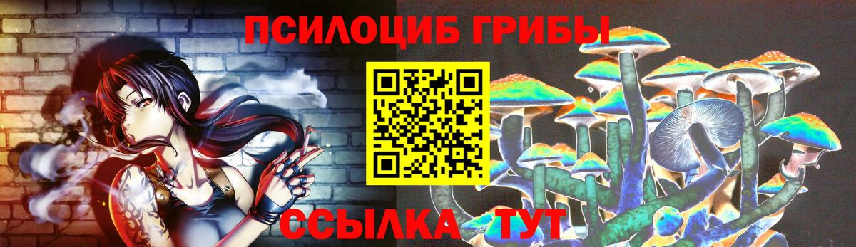 Санкт-Петербург  сколько стоит  Вход с VPN  Галлюциногенные грибы прущие грибы 