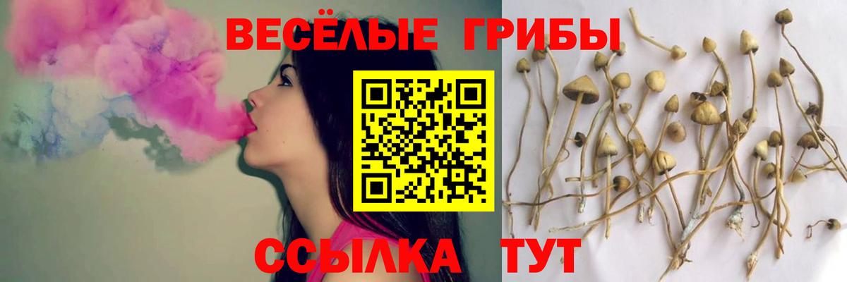 Псилоцибиновые грибы GOLDEN TEACHER Санкт-Петербург